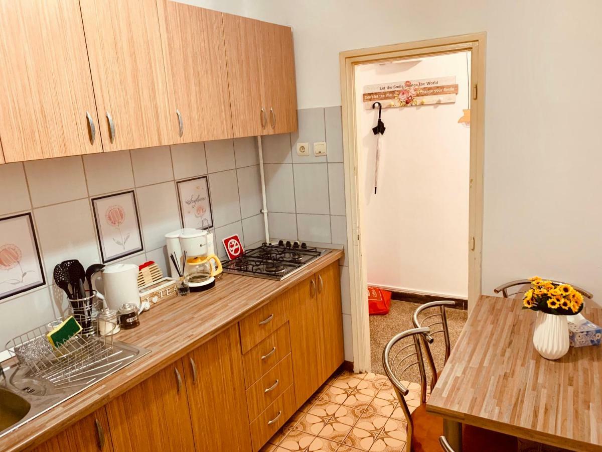 Ultracentral Apartment With All You Need: Wifi, Tv, Ac, Washer, Coffe Timişoara Exterior foto